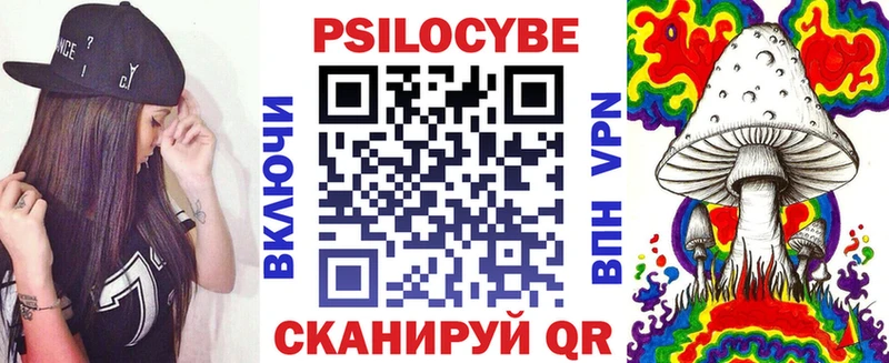 дарнет шоп  Северская  Псилоцибиновые грибы Cubensis 
