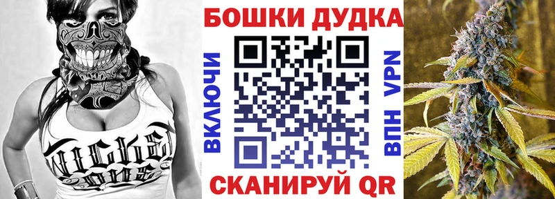 Каннабис конопля  Северская 